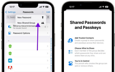 天河苹果售后维修分享如何在iOS17中共享密码 