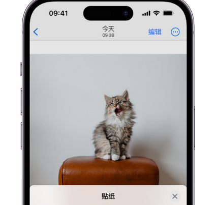 上海apple维修网分享iPhone上将照片制作为贴纸 
